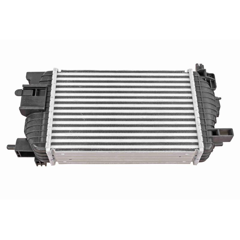 Intercooler, échangeur VEMO V40-60-2126 - Visuel 1