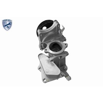 Radiateur d'huile VEMO OEM 55499190