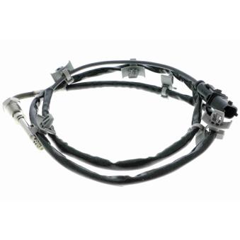 Palpeur, température des gaz VEMO OEM 55575971