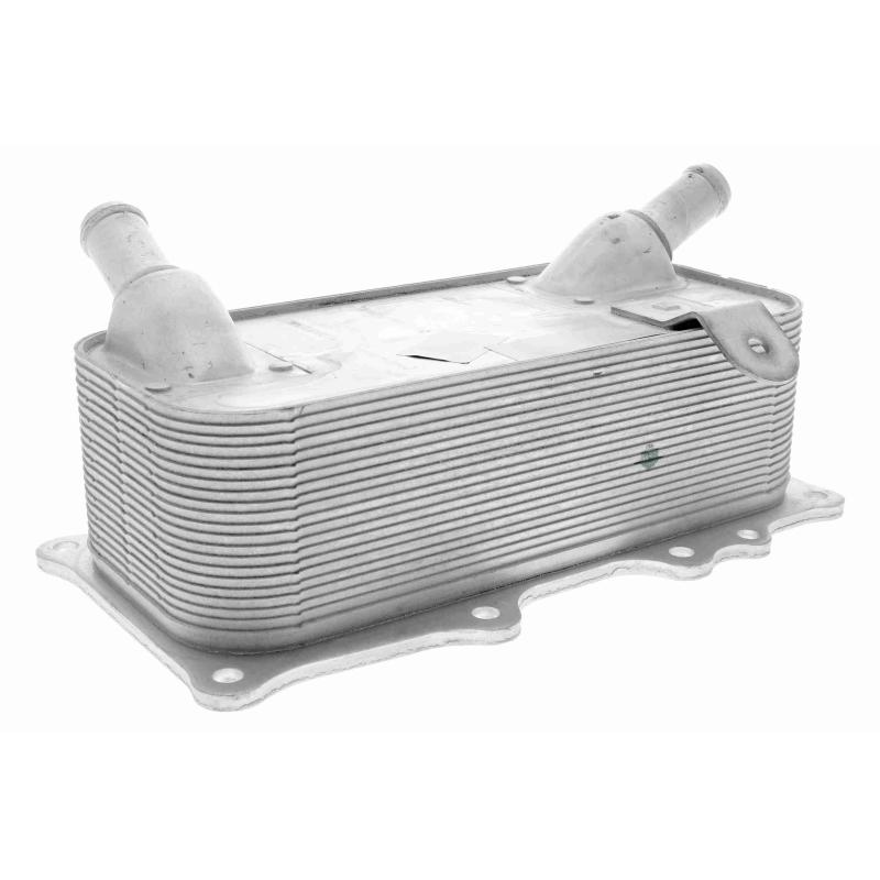 Radiateur d'huile VEMO V45-60-0006 - Visuel 1