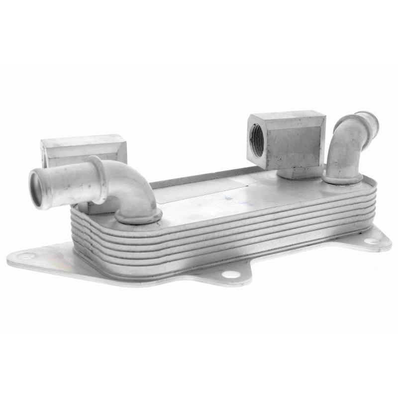 Radiateur d'huile VEMO V48-60-0026 - Visuel 1