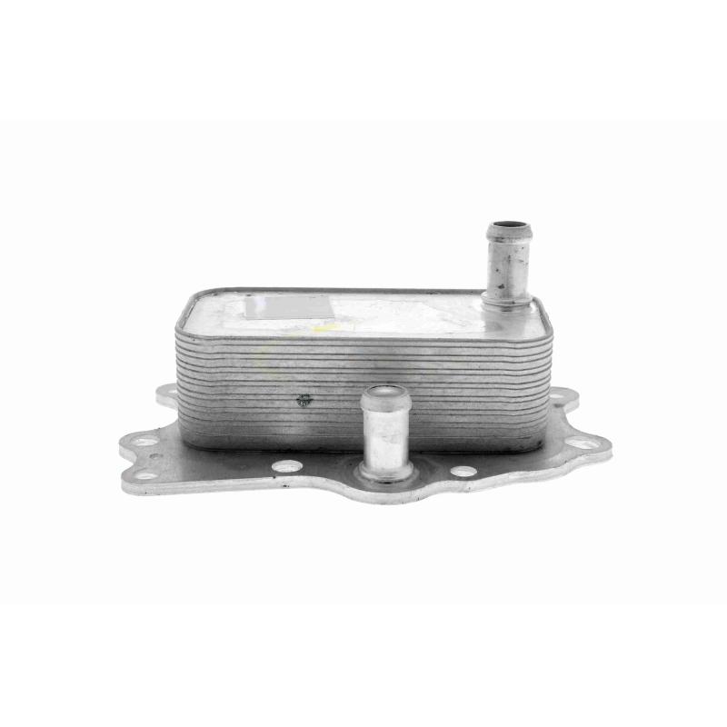Radiateur d'huile VEMO V51-60-0004 - Visuel 2