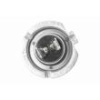 VEMO V99-84-0002 - Ampoule, projecteur longue portée