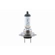 VEMO V99-84-0002 - Ampoule, projecteur longue portée