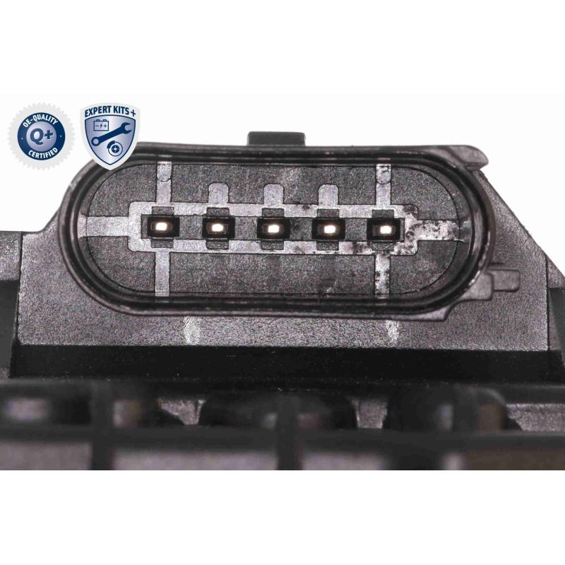 Pompe à eau + kit de courroie de distribution VAICO V10-50114 - Visuel 2