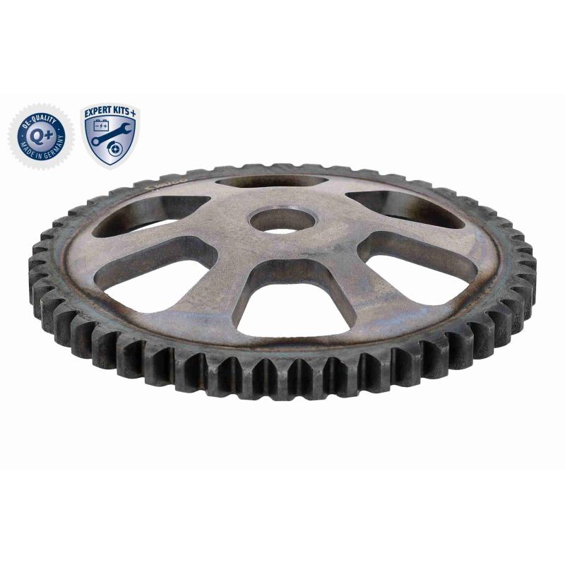 Kit de chaînes, commade de pompe à huile VAICO V10-5844 - Visuel 2