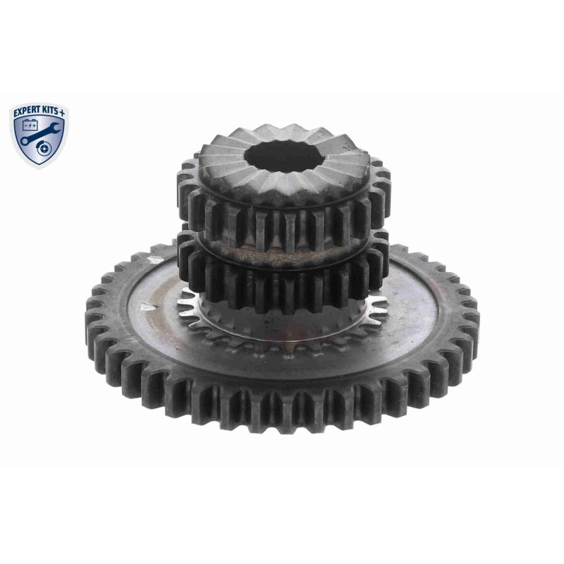 Kit de chaînes, commade de pompe à huile VAICO V10-5855 - Visuel 1