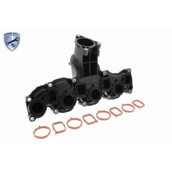 Module de tube d'admission VAICO V10-6484