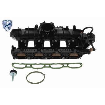 Module de tube d'admission VAICO [V10-6723]