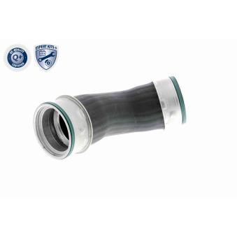 Gaine de suralimentation VAICO OEM 1J0145834H