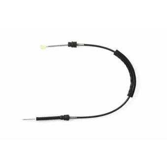 Tirette à câble, boîte de vitesse manuelle VAICO V10-8054