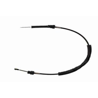 Tirette à câble, boîte de vitesse manuelle VAICO V10-8055