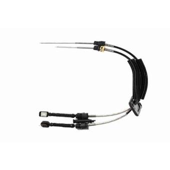 Tirette à câble, boîte de vitesse manuelle VAICO V10-8063