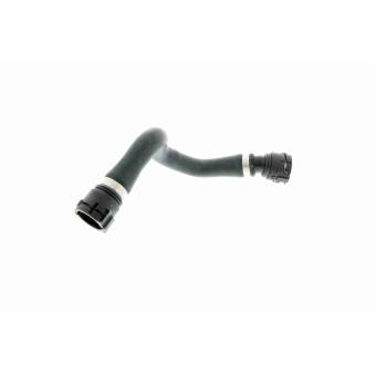 Durite de radiateur VAICO [V20-0884]