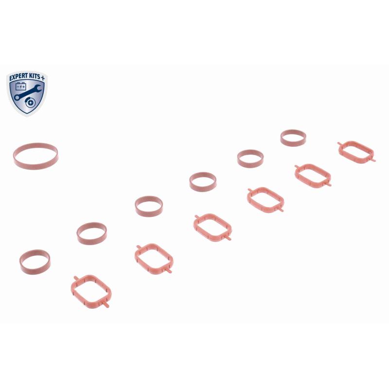 Module de tube d'admission VAICO V20-3002 - Visuel 2