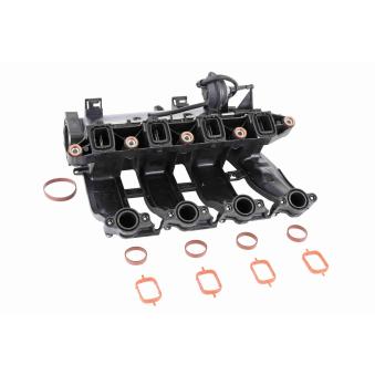 Module de tube d'admission VAICO [V20-3657]