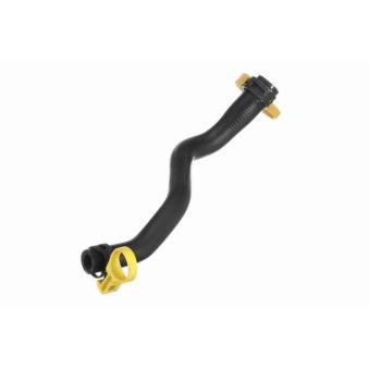 Durite de radiateur VAICO [V20-3875]