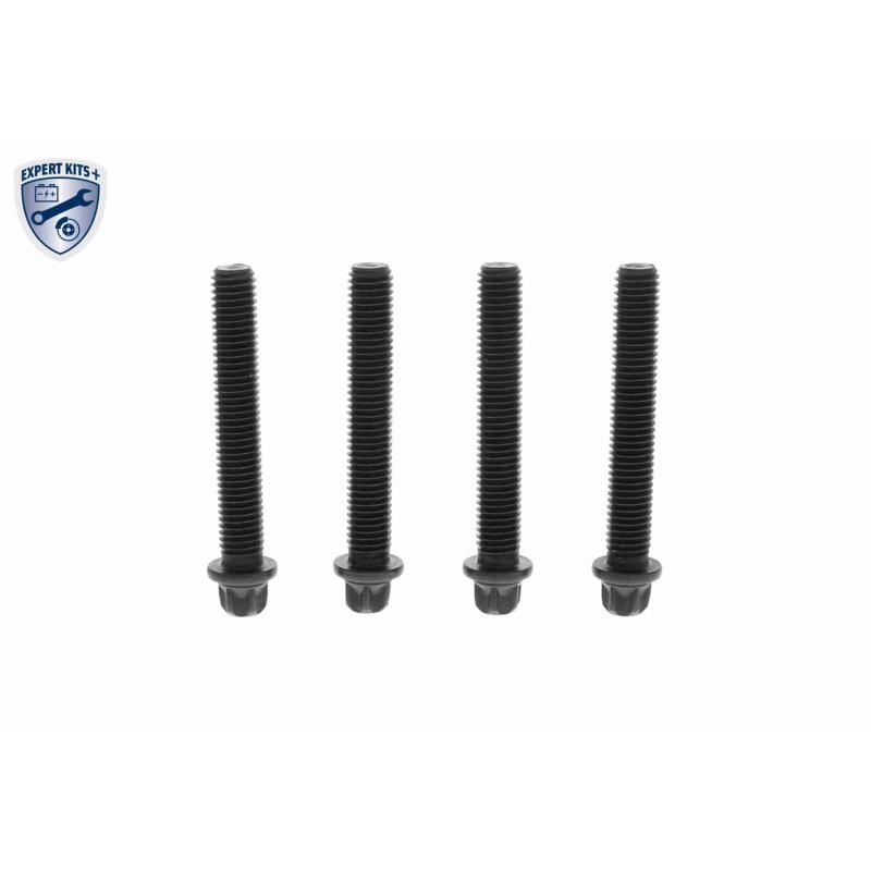 Kit de poulies, vilebrequin VAICO V20-3985 - Visuel 1