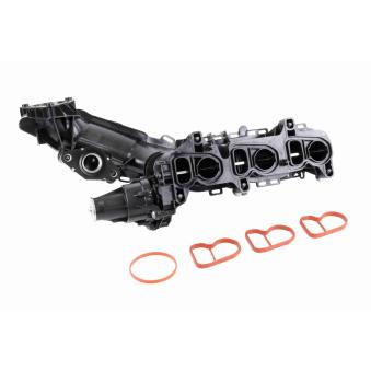 Module de tube d'admission VAICO [V20-4075]