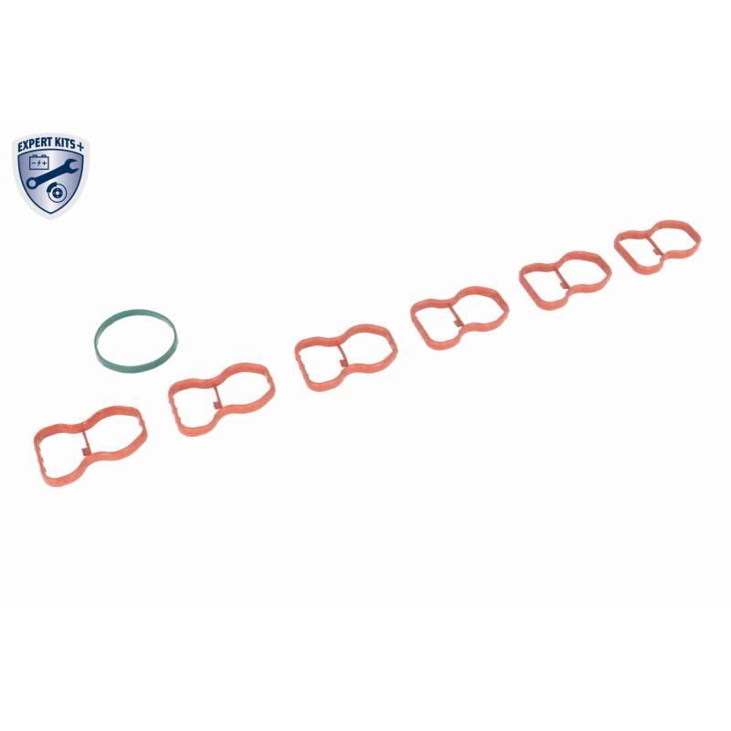 Module de tube d'admission VAICO V20-4954 - Visuel 2