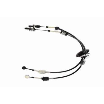 Tirette à câble, boîte de vitesse manuelle VAICO V22-0955