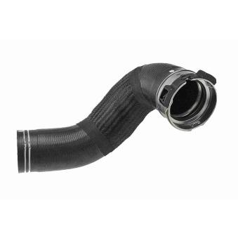 Gaine de suralimentation VAICO OEM 50521792