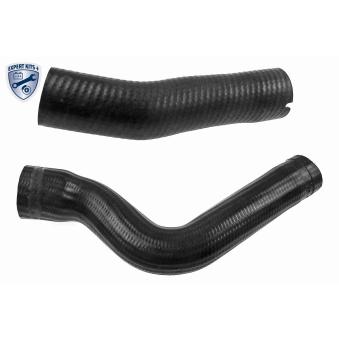 Gaine de suralimentation VAICO OEM 51800396