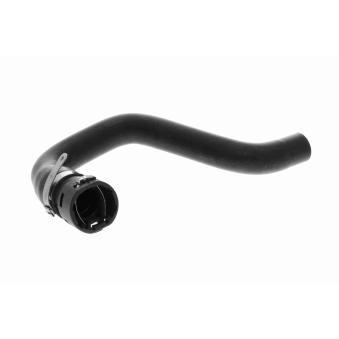 Durite de radiateur VAICO OEM 6466JJ