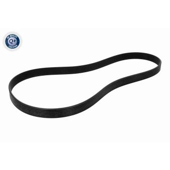 Courroie trapézoïdale à nervures VAICO [V24-1209]