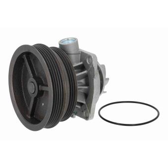 Pompe à eau VAICO OEM 46444355