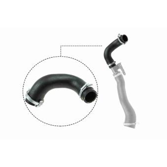 Gaine de suralimentation VAICO OEM 5S616K863AJ