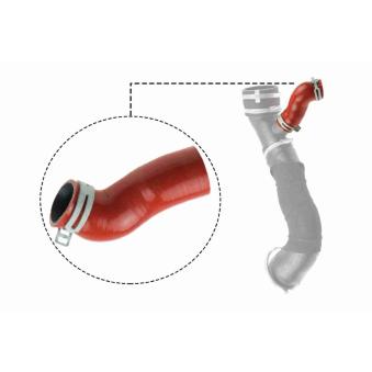 Gaine de suralimentation VAICO V25-1032