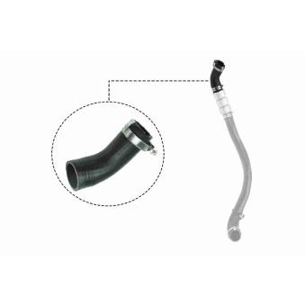 Gaine de suralimentation VAICO OEM 6C116K683EK