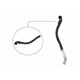 Gaine de suralimentation VAICO OEM 6C116K683EK