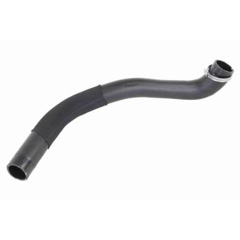 Gaine de suralimentation VAICO OEM 1789644
