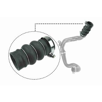 Gaine de suralimentation VAICO OEM 5050742