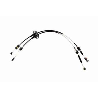 Tirette à câble, boîte de vitesse manuelle VAICO V25-1381