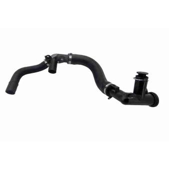 Durite de radiateur VAICO OEM AV6Q8K512AA