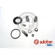 AUTOFREN SEINSA D41717 - Kit de réparation, étrier de frein
