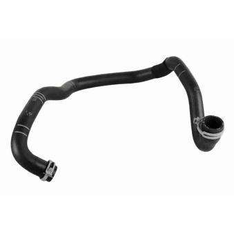 Durite de radiateur VAICO V25-2569