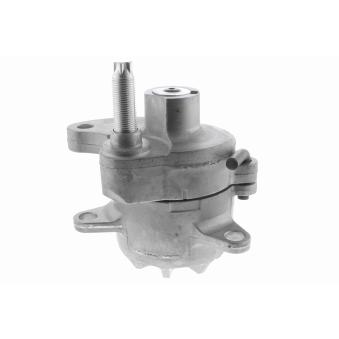 Tendeur de courroie, courroie trapézoïdale à nervures VAICO OEM 1112000770