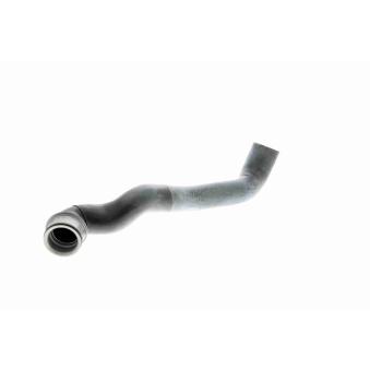 Durite de radiateur VAICO OEM 2035010282