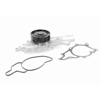 Pompe à eau VAICO OEM A6132000701 Pompe à eau VAICO OEM A6132000701