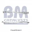 Catalyseur BM CATALYSTS [BM91922H]