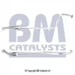 Catalyseur BM CATALYSTS [BM92034H]