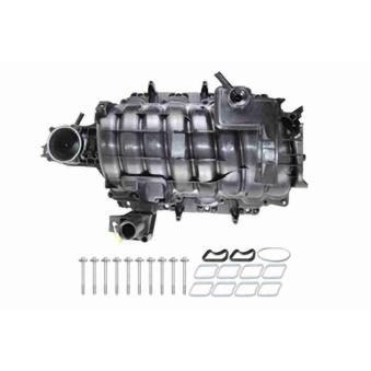 Module de tube d'admission VAICO [V33-0534]