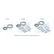 BM CATALYSTS FK70528 - Kit d'assemblage, tuyau d'échappement
