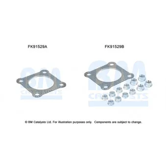 BM CATALYSTS FK91529 - Kit d'assemblage, catalyseur