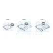 BM CATALYSTS FK91635 - Kit d'assemblage, catalyseur