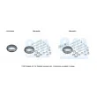 BM CATALYSTS FK91645 - Kit d'assemblage, catalyseur